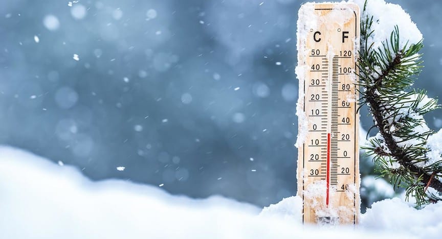Are you prepared for this extremely cold weather? Check out our tips below!